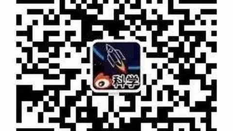 战队新教练上任，新赛季战略布局曝光